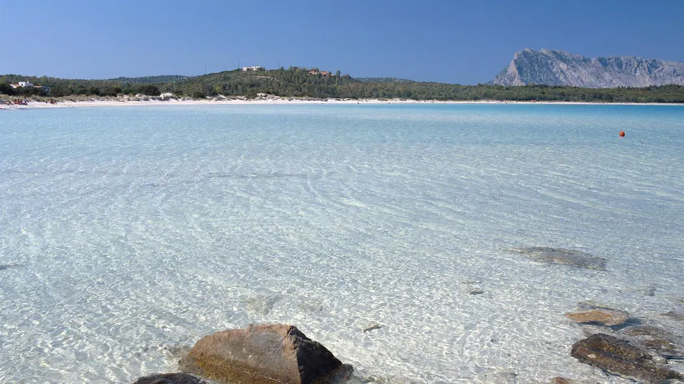 La spiaggia di Cala Brandinchi, con acqua trasparente e l’isola di Tavolara sullo sfondo